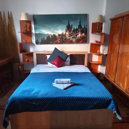 Lejlighed Confort Flat Braşov