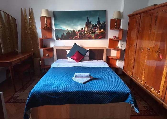 Lejlighed Confort Flat Braşov